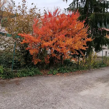 Charmante Maison A בית נופש Reynès